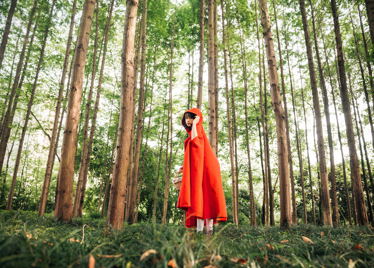 奈汐酱nice大红帽26p2v