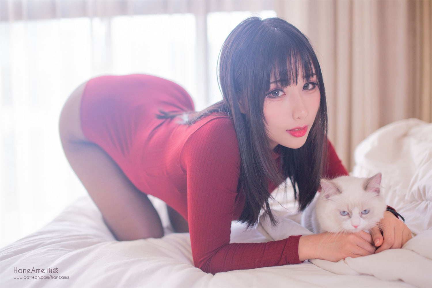 HaneAme爱猫酒红毛衣女士23p_1