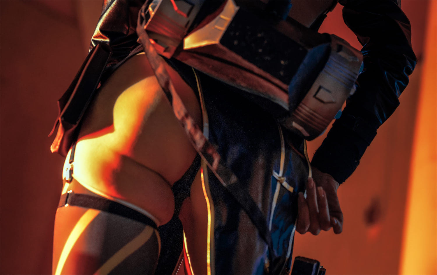 秋和柯基荷光者29p1v