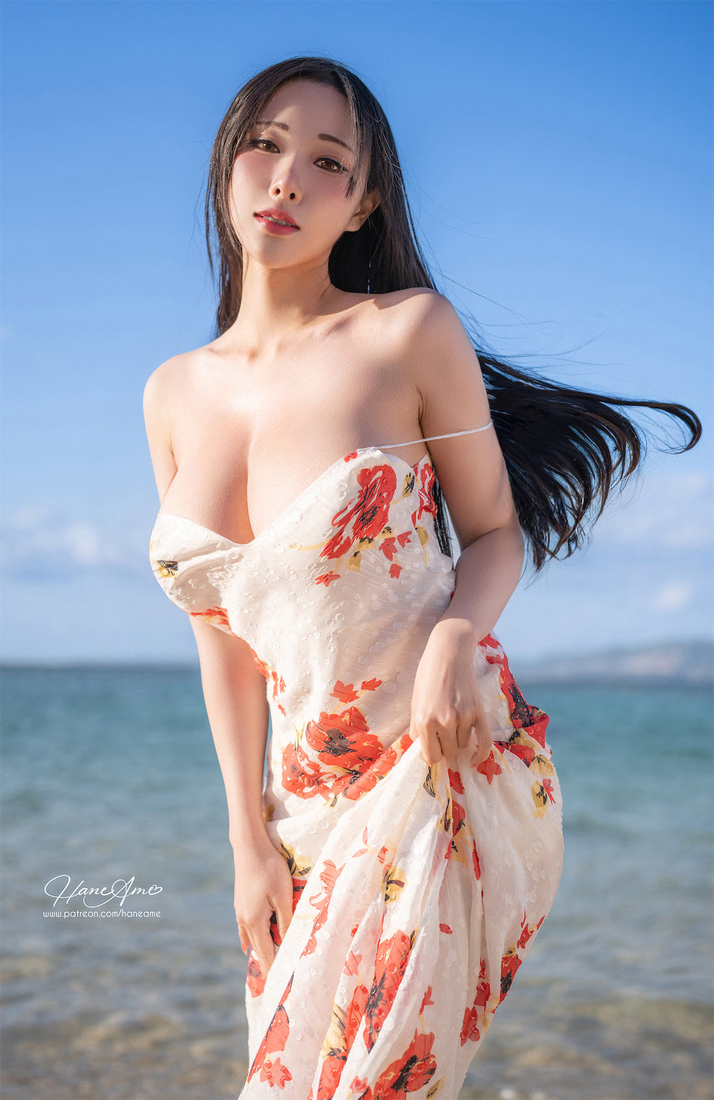 HaneAme冲绳扶桑花27p3v