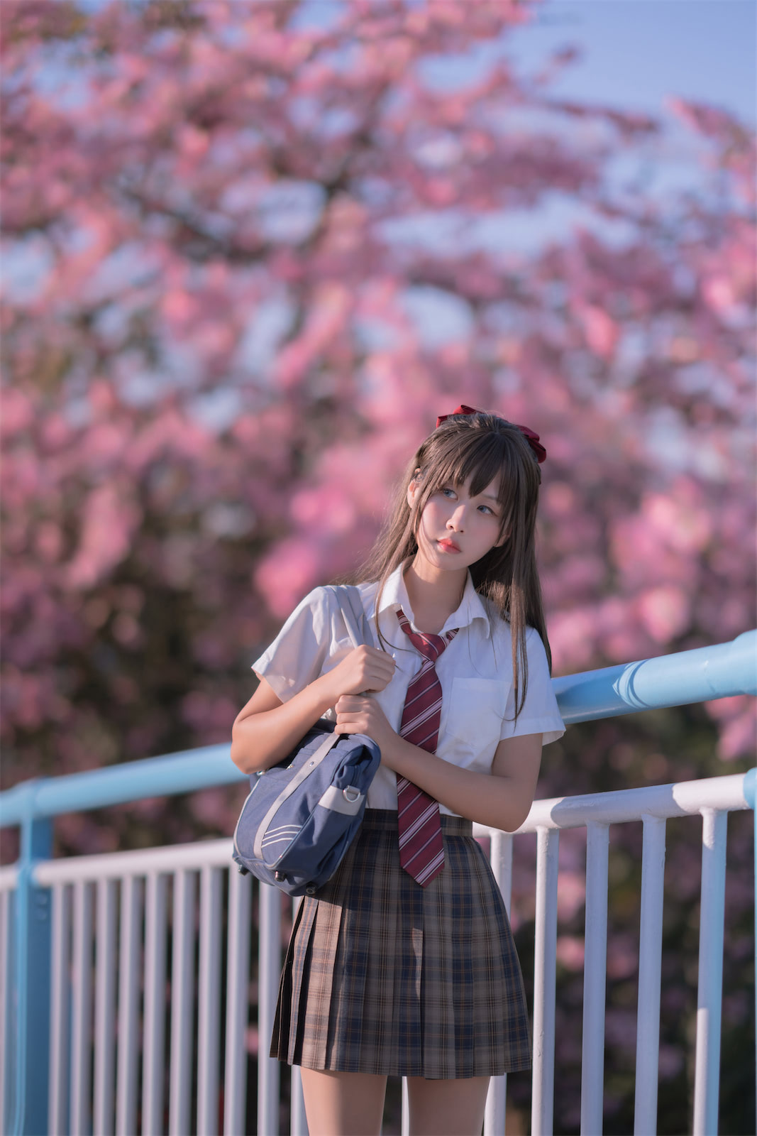 萌芽儿o0异木棉花26p