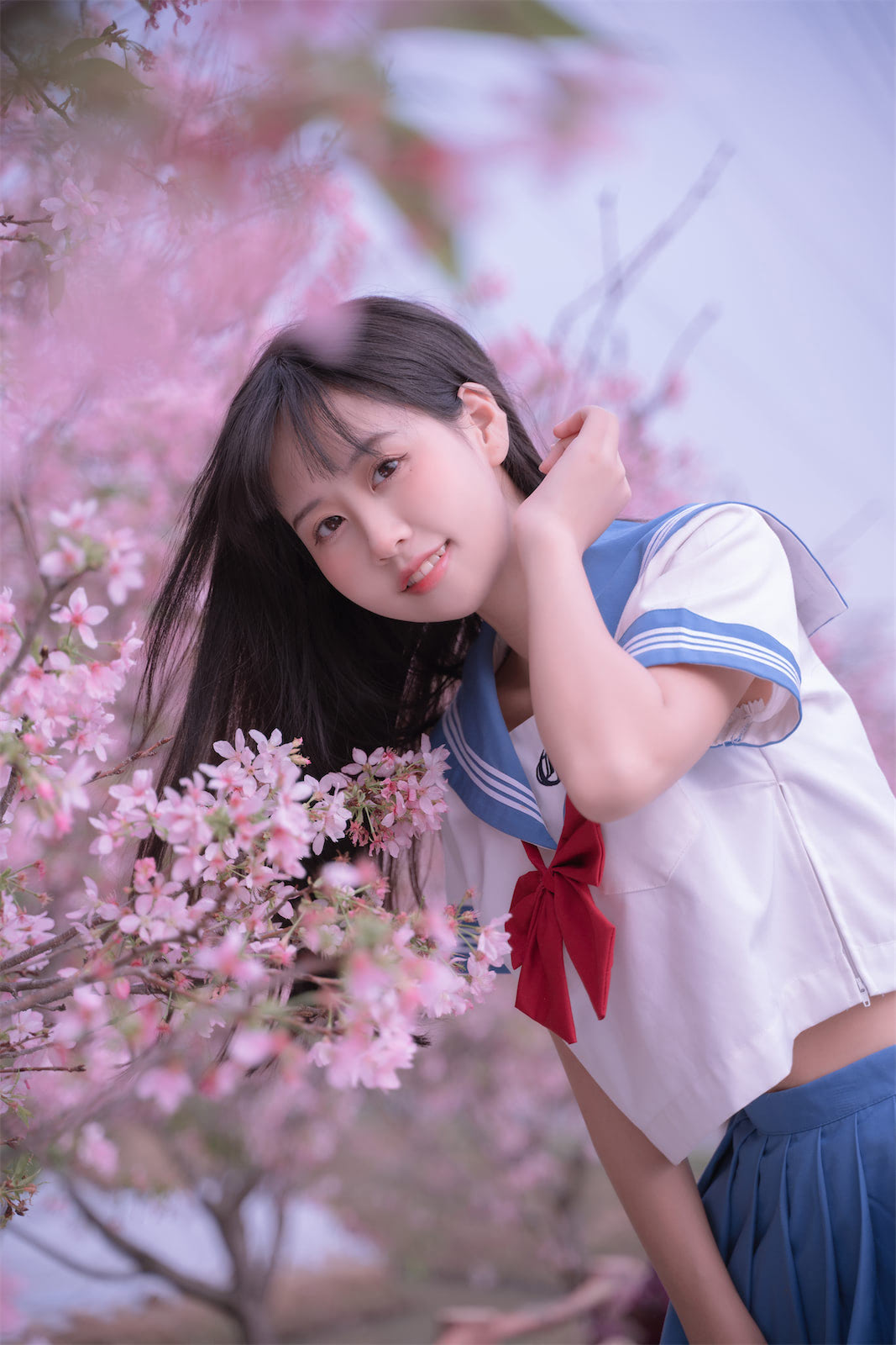 萌芽儿o0樱花jk林中少女59p