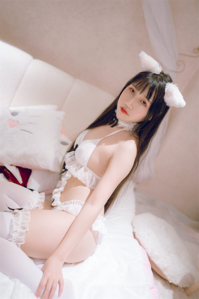 不呆猫白猫猫26p